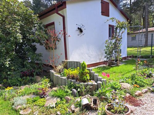 gemütlicher Bungalow am Rand der Dübener Heide