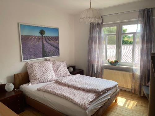 Gemütliches Gästehaus