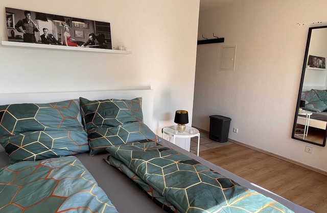 Gemütliches Kleines Apartment in der Neckarstadt