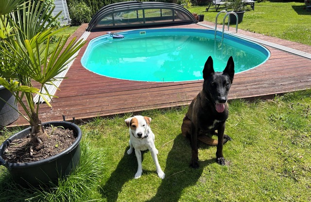 Gemütliches Zimmer in Falkensee