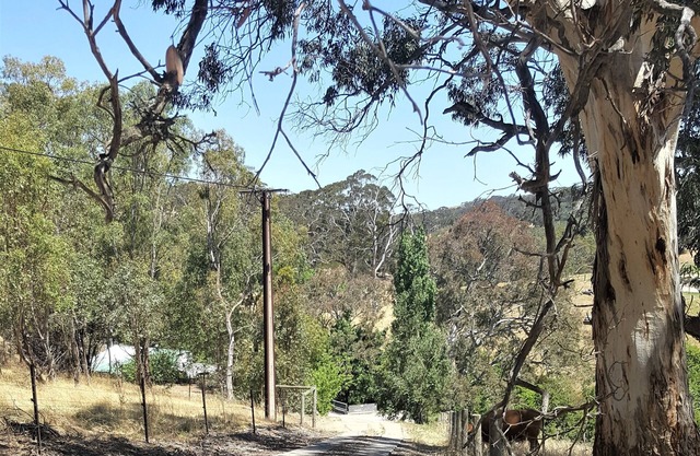 "Get away from the world for a while"