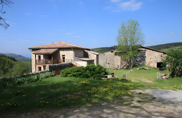 Gite Cabin & Funny Animals