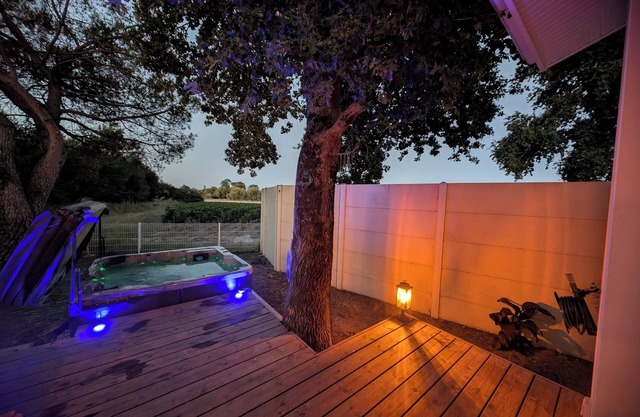 Gîte with Jacuzzi Vineyard view