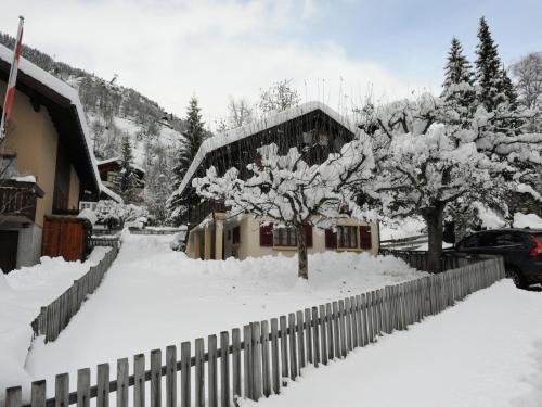 Glacier Views & Ski Trails