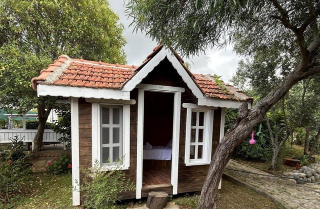 Glamping in Turkey. Enjoy authentic vacation.