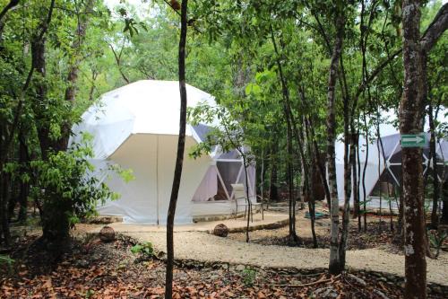 Glamping Mayan Glam