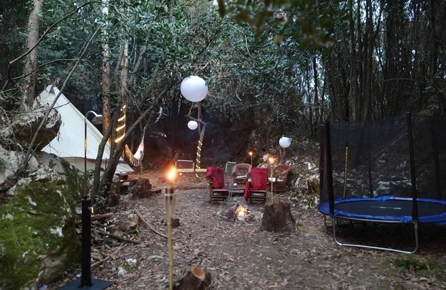 Glamping tent in forest by the sea