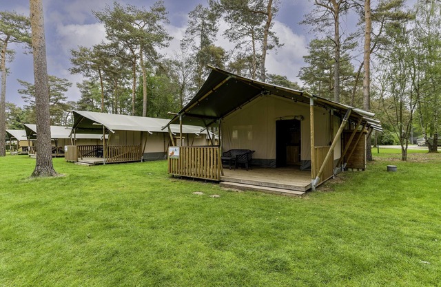 Glamping tent on campsite with swimming pool
