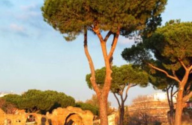Glint House Apartment Piazzale delle Provincie