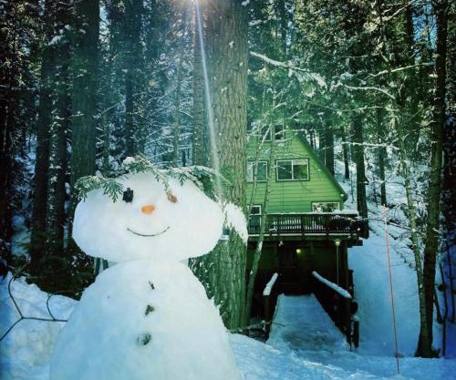 Glorious Summer at Cabin on the Creek