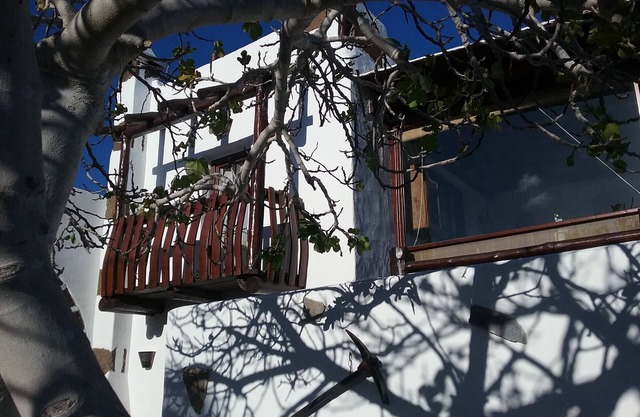 GOFIO lovely apartment in panoramic terrace in old mill of1912