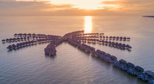 Golden Palm Tree Sepang