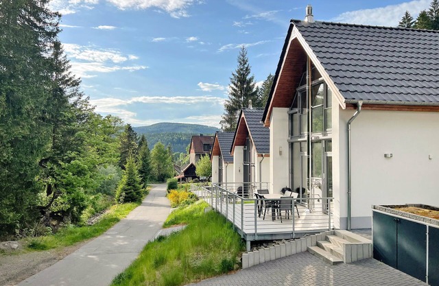 Gorgeous home in Lautenthal with sauna