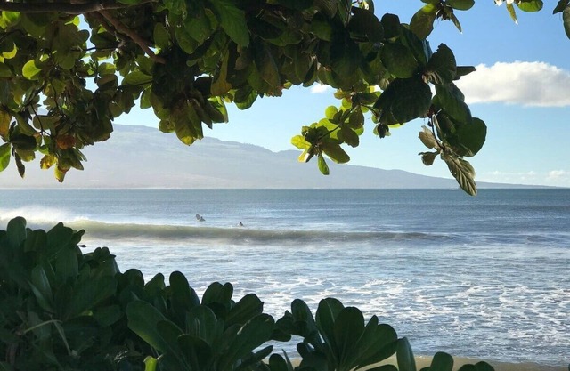 Gorgeous Modern Maui Beachfront- 2 sups Included!