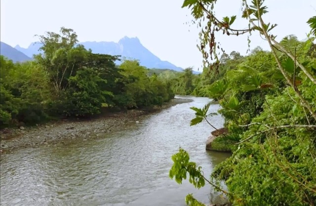 Grace Guesthouse , 2BR Cabin with River & Mountain Views