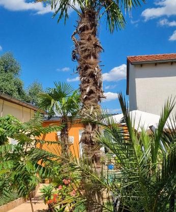 Grahl´s Ferienwohnung