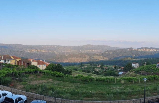 Grandma's House - São Cosmado. The experience of a 19th century country house