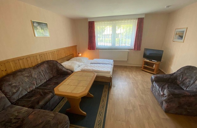 Grauer Esel E1 - Will & Seemann GbR