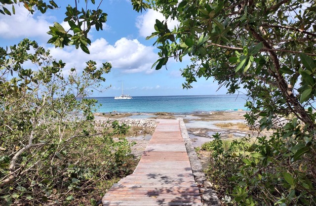 Great Condo in Cozumel, OCEAN FRONT! #10