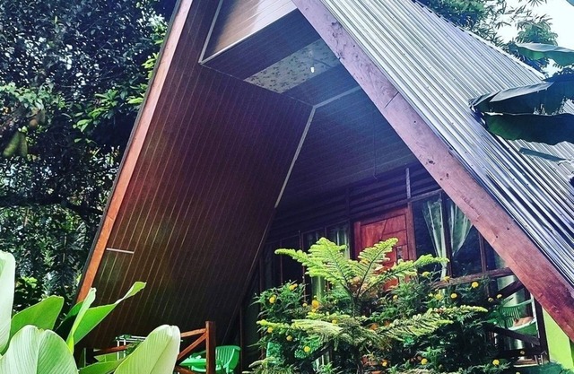 Green Forest Tangkahan