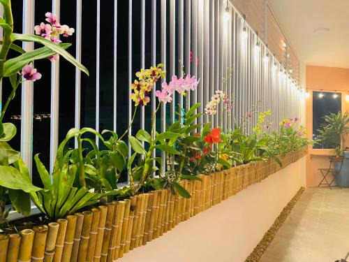 Green Homestay Tuy Hòa