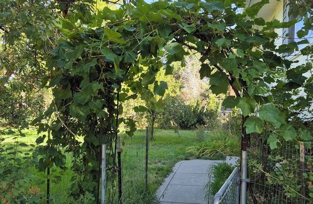 Greenish-Acres Farmhouse