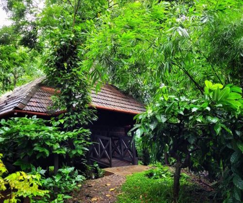 Greens Tree House & Wood House