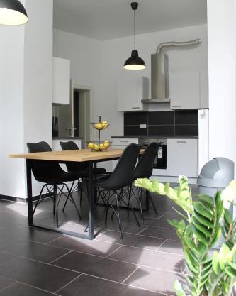 Große Wohnung im Zentrum mit 6 Betten