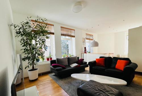 Großes und helles Innenstadt Apartment - Ferienwohnung