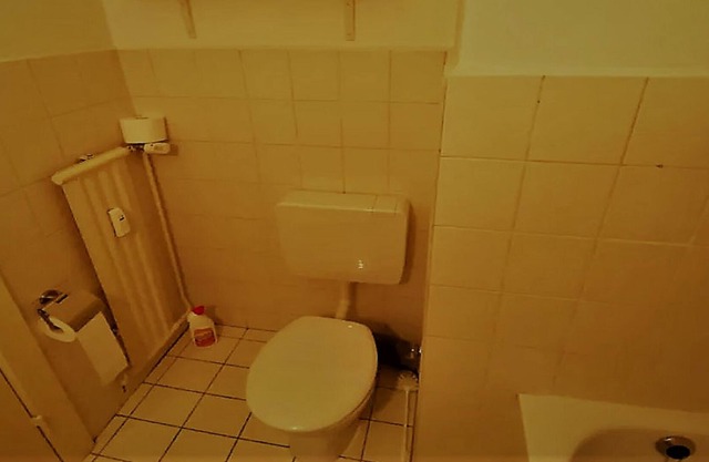 Großzügiges 1-zimmer-dachgeschoß-appartement