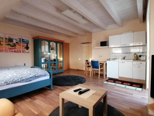 Großzügiges Wohnstudio mit Balkon und Badbenutzung