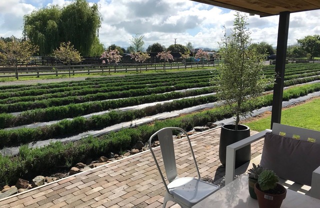 Guest House in the Lavender Field