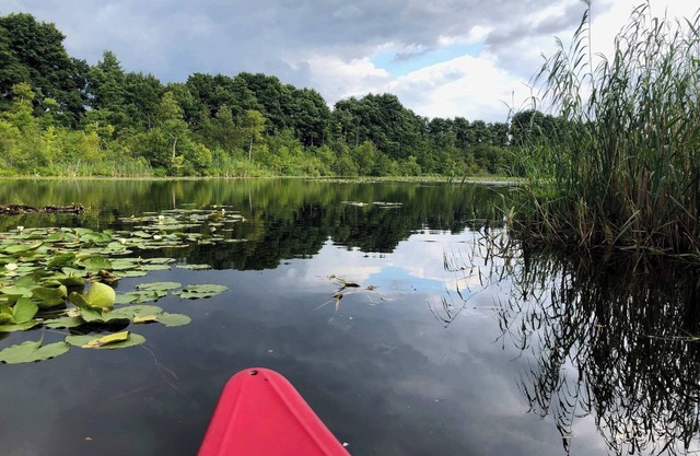 Gut Pälitzhof - Ferienhaus 6