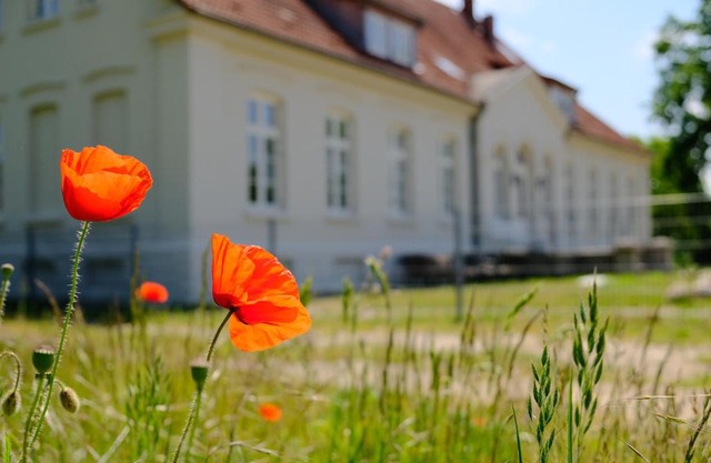 Gutshaus FeWo Warnemünde