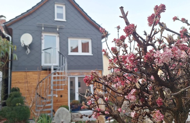 Hainichschäferei - If you love peace and quiet and want to hike, this is the place for you