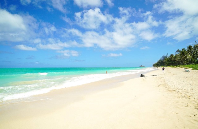Hale Oahu Cottage by Avantstay Stunning Beachfront Estate!