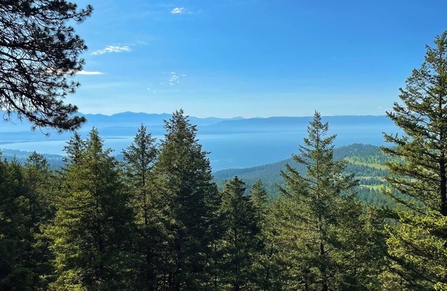 Hand-Crafted Cabin, Lake View abv. Somers Bay ! Enjoy the "Flathead Valley " !
