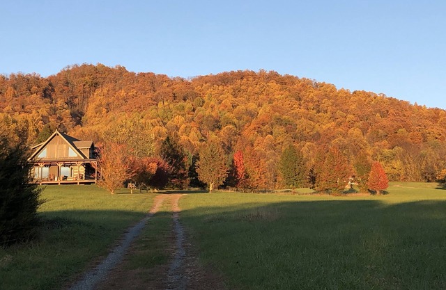 Hand hewn log cabin with beautiful views of the Blue Ridge Mountains