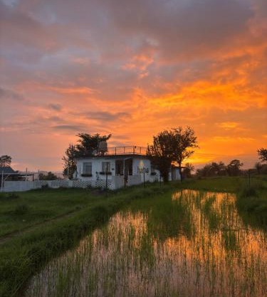 Hans BnB Charming stay amidst nature