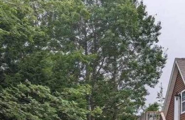 Happy Moose Guest Suite