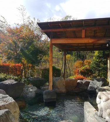 Hataya Onsen Sasa no yu