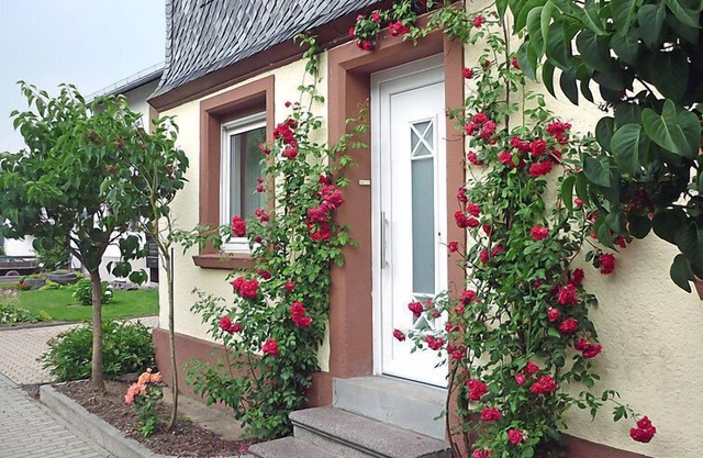 Haus Irmgard by Interhome