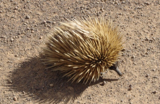 Haven Beach - Island