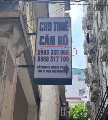 Healing homestay twins