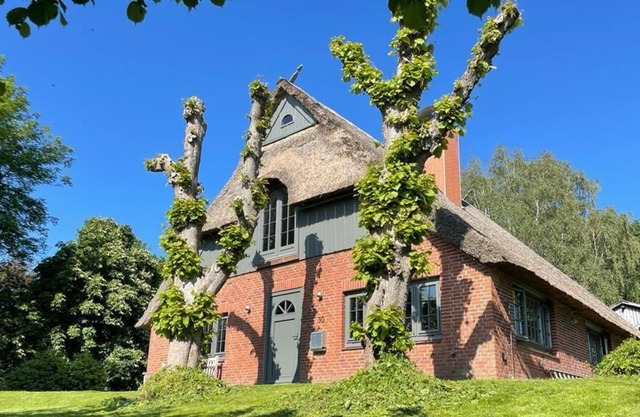 Heavenly thatched cottage - directly on the dike and at the gates of Hamburg.