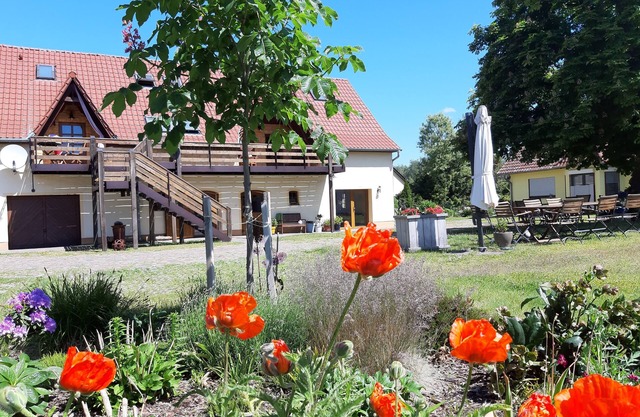 Here you can rest fortuitous! National Park "Lower Oder Valley"