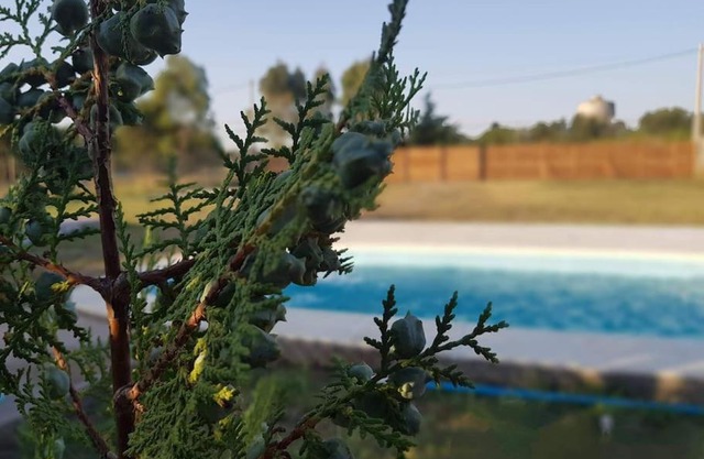 Hermoso alojamiento temporario LA SOÑADA