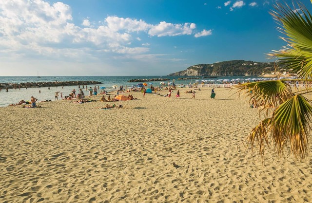 Hibiskus cozy studio