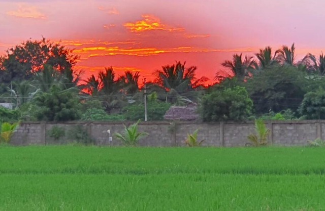 HIDE OUT at Medur, Pulicat Highway
