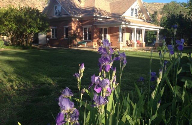 HIKE, BIKE & EXPLORE ZION NATIONAL PARK & GOOSEBERRY MESA, CEDAR BREAKS & MORE!